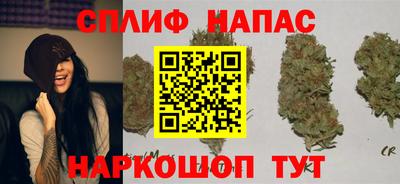 ECSTASY Белореченск
