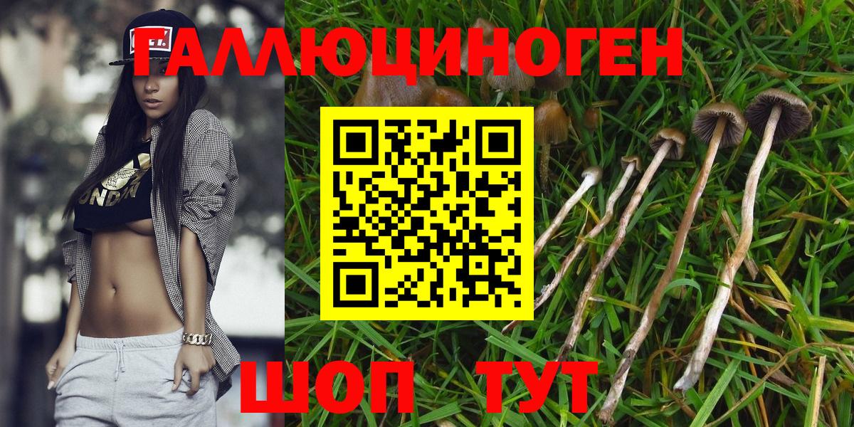 Краснотурьинск  цены наркотик  Вход с VPN  Галлюциногенные грибы Magic Shrooms 