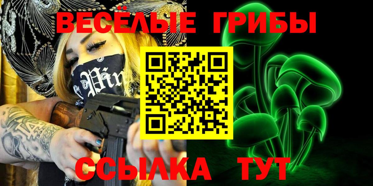 Псилоцибиновые грибы Psilocybe Краснотурьинск